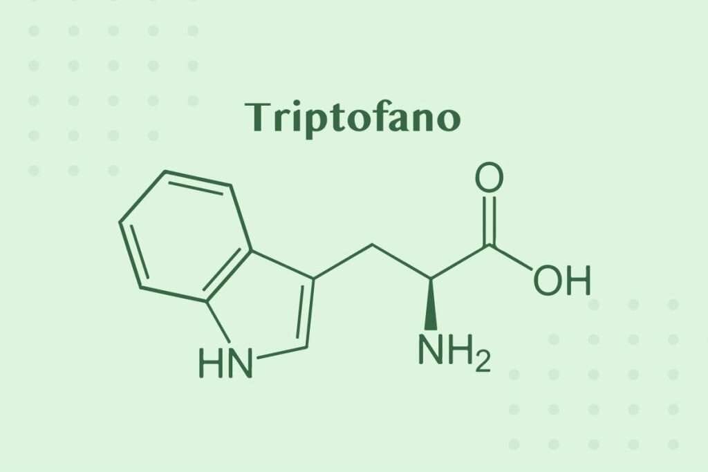 la molécula de triptófano