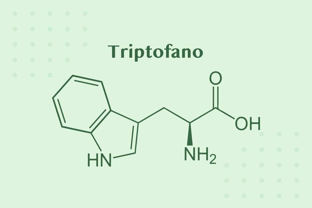 la molecola del triptofano