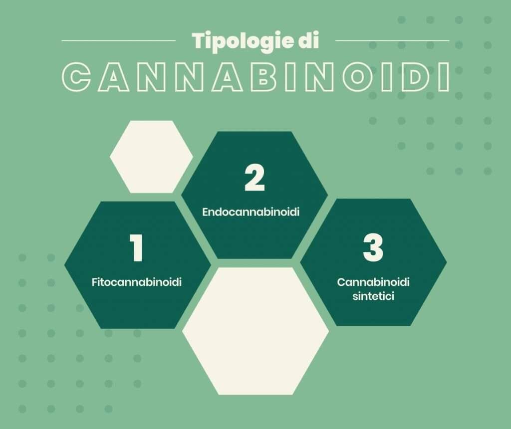 tipologie di cannabinoidi