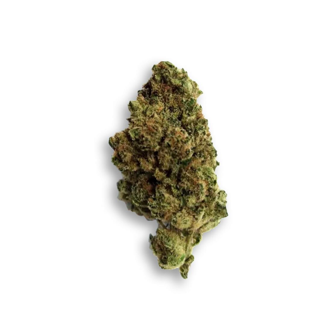 Marijuana Legale, Cannabis, Erba Light, CBD Shop Online