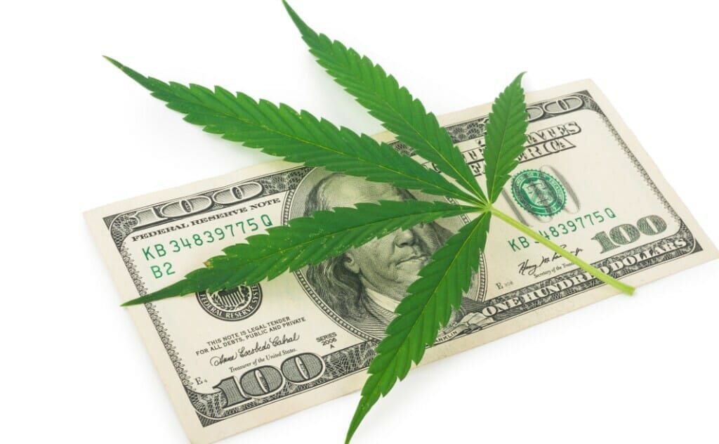 Dm cannabis 2022