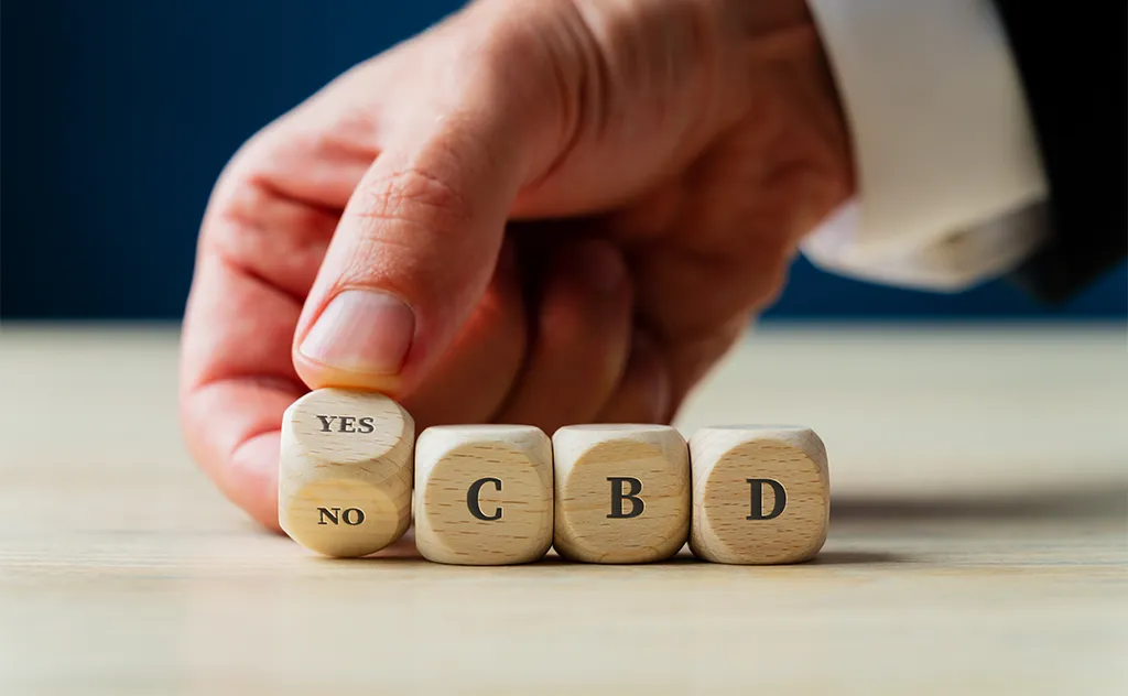 il cbd è legale?