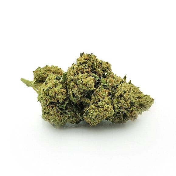 Bubblegum | Cannabis Legale