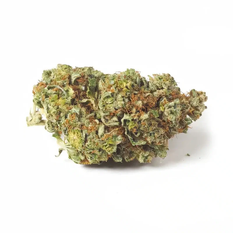 Gorilla Glue | Legal Cannabis
