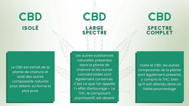 les formes de CBD trouvées sur le marché