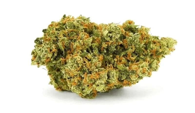 Jack Herer